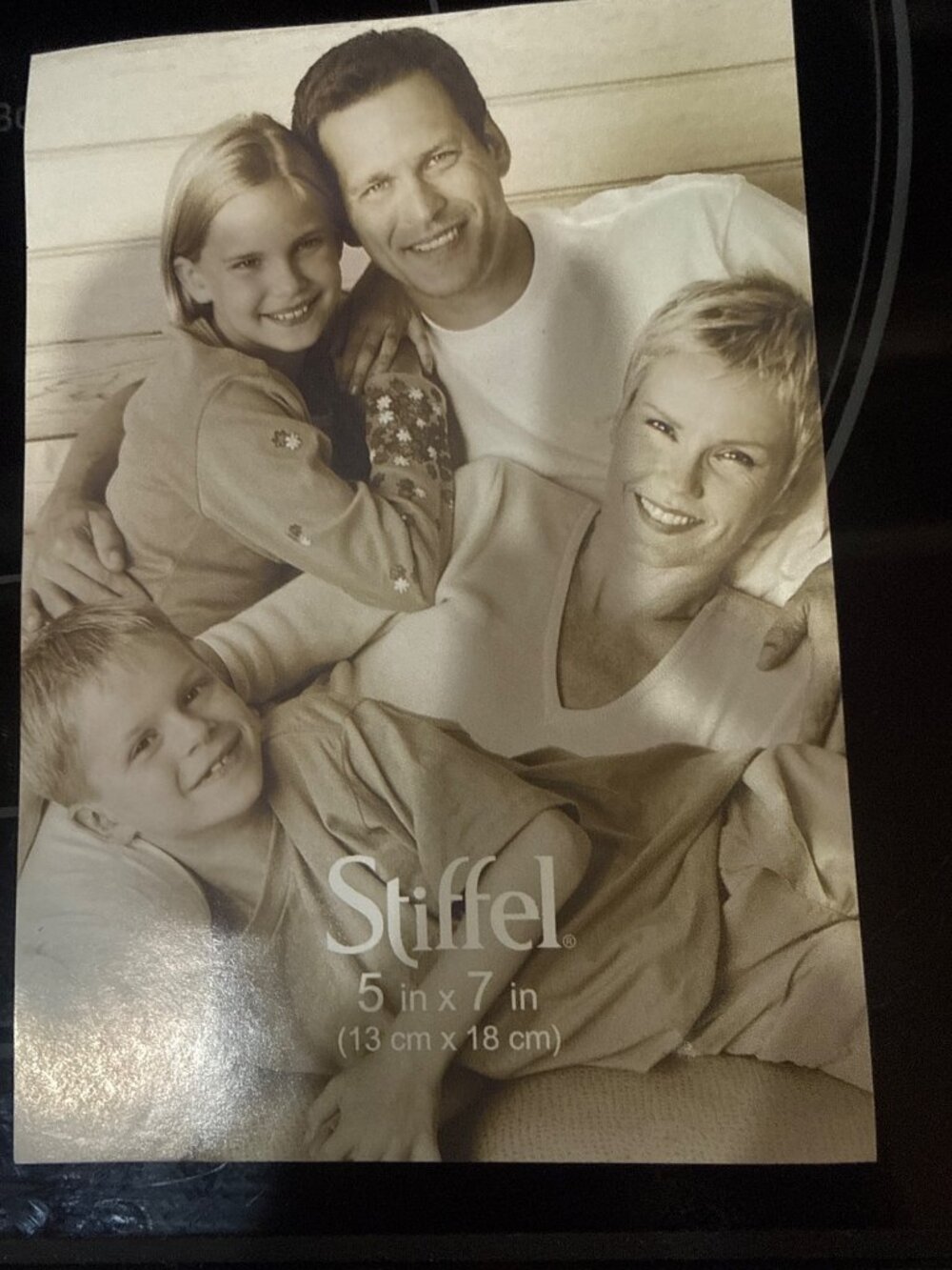 Stiffel Mother of Pearl Tabletop Picture Frame Holds 5x7” Photo Silvertone Metal